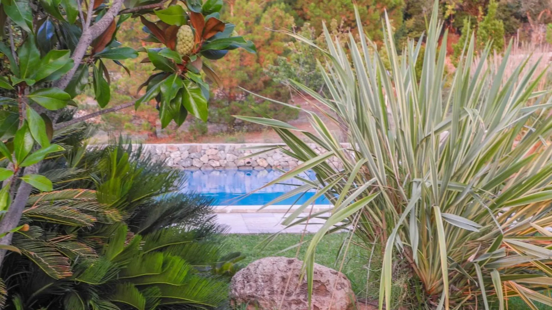 Beautiful Holiday Home In Valldemossa